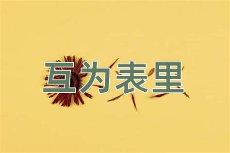 互為表裡意思|互为表里